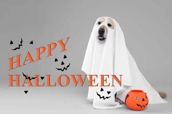 Happy Halloween from FiT Mortgage, LLC